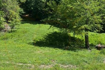 Terenuri 12.225 mp - Ramnicu Valcea, Aranghel - 2