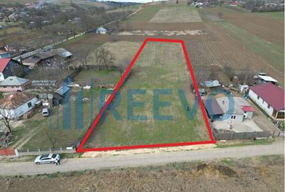 Teren de vanzare, Sat Bazga, Com. Horge?ti, Bacau - 4