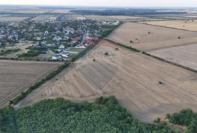 Teren Construcții intravilan de 40300 mp, în Tamași - 3