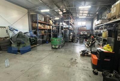 Hala de vanzare 365 mp, Mosnita Noua! - 7