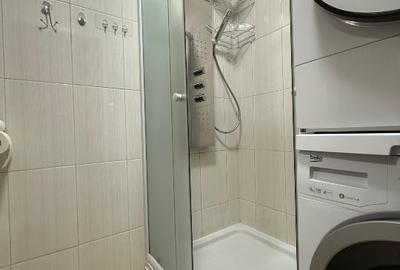 Garsonieră semidecomandată, mobilată în Theodor Pallady - 10