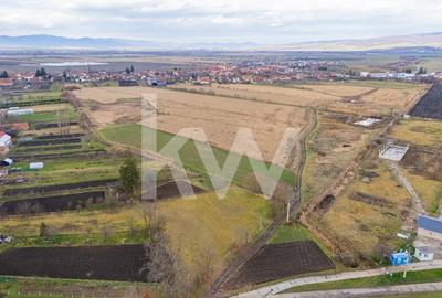 Teren 10000 mp in Extravilan, Bod, Brasov- COMISION 0% - 18