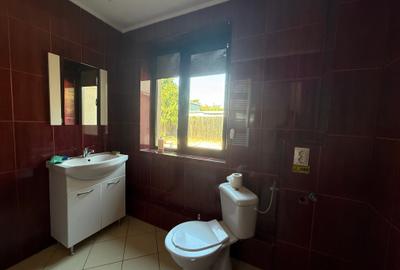 Vanzare casa Bucurestii Noi- Ardealului - 7
