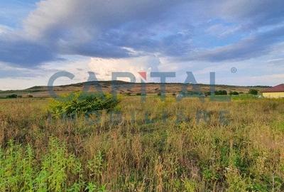 Teren intravilan 23750 mp, Zalau