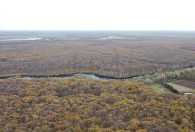 Teren intravilan de Balta Neagra l Nuci l Codrii Vlasiei Teren intravilan de Balta Neagra l Nuci l Codrii Vlasiei - 2