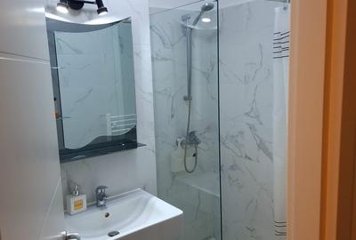 Apartament cu 3 camere decomandat, mobilat în Calea București - 16