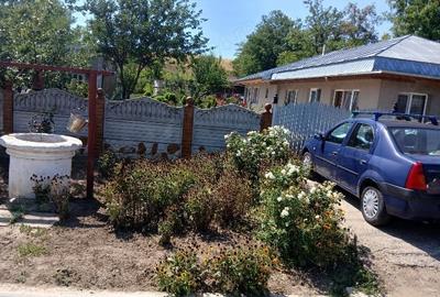 Casă cu 4 camere cu Teren 3300 Mp în Toporu - 3