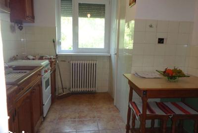 Apartament cu 2 camere în Podgoria - 9