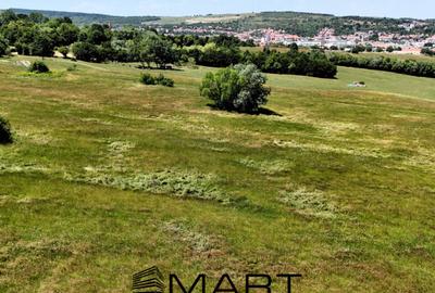 Teren extravilan 400mp Cisnadie - 1