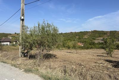 Teren de 3280 mp, în Central
