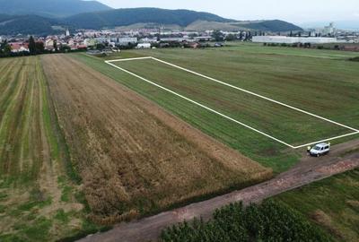 Teren Construcții intravilan de 13667 mp, în Codlea - 2