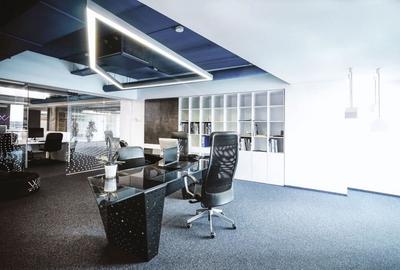 Baneasa Offices, Str. Pechea 32-36 - comision 0%, reprezentam proprietarul! - 6