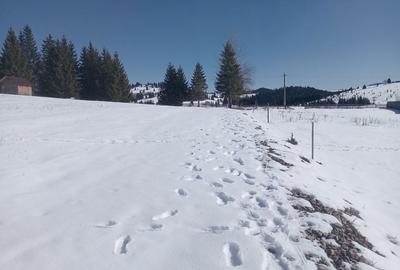 Spațiu comercial, în Piatra - 2