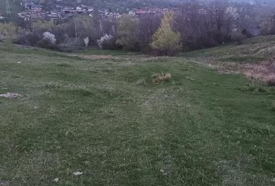 Teren de 2600 mp, în Izvoarele