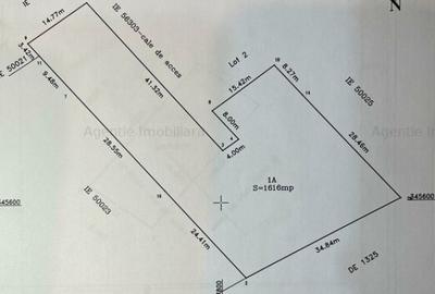 Teren de 1616 mp, în Dascălu - 2