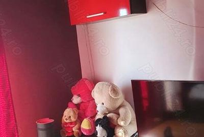 Vand apartament cu o camera Lugoj - 2