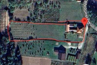 Casă cu 4 camere în Baia de Fier - 1