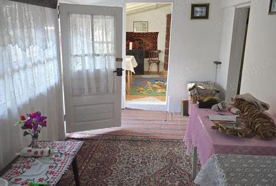 Casă cu 5 camere în Brăgăreasa - 9