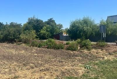 Teren agricol intravilan de 4800 mp, în Sălciile - 1