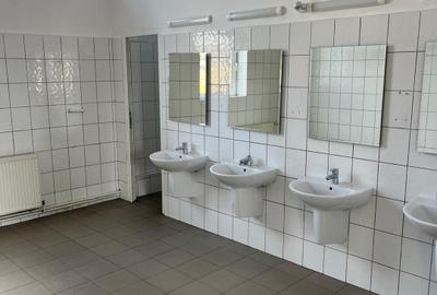 Spatii de inchiriat â Depozitare | Productie | Birouri Cisnadie - 9