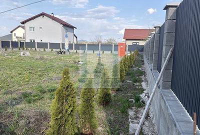 Teren de 1000 mp, în Stupini