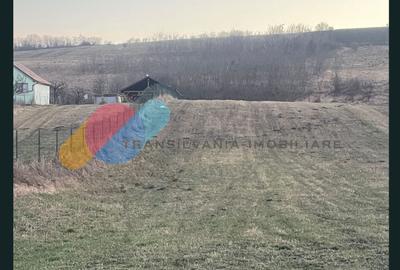 Teren Construcții extravilan de 1275 mp, în Iris - 1