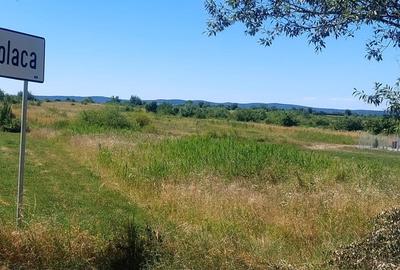 Teren oportunitate investitie 1900mp,intrare in Poplaca - 1