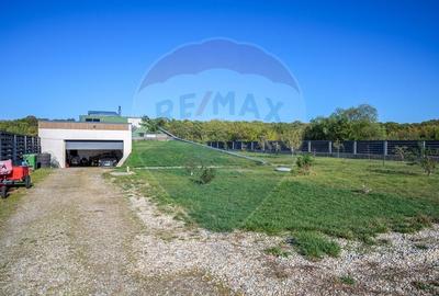 Casă cu 6 camere cu Garaj în Găneasa - 47