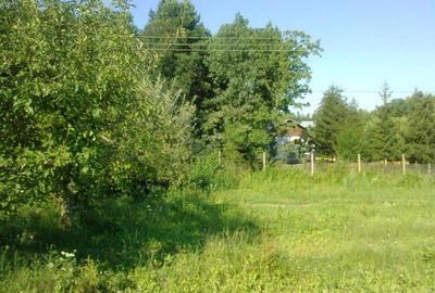 Intravilan 480 mp , loc de casa , zona padure Baicoi Prahova - 14