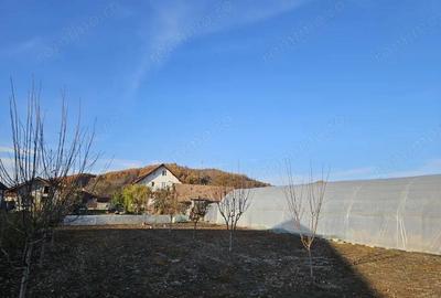 Vanzare casa situata in Bale?ti, str. Principala - la 5 km distan?a de Tg.Jiu - 7