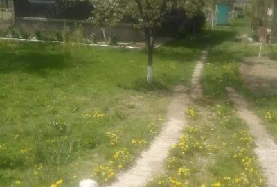 Casă cu 3 camere în Criș - 1