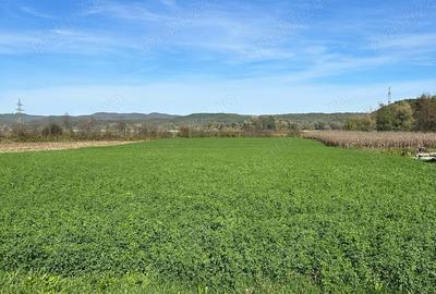 Teren de 4300 mp, în Lalașinț - 5