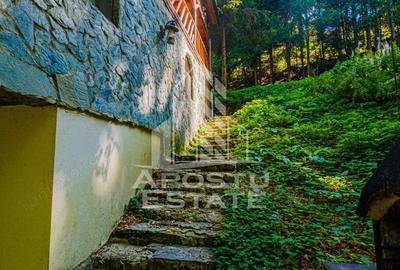 Casă cu 6 camere cu Teren 120 Mp în Râu de Mori - 6