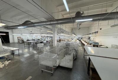 Complex industrial 30130 mp construit - Teren 42558 mp - 5