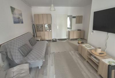 Apartament cu 2 camere, mobilat în Bartolomeu - 2