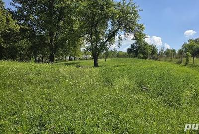 Casă în Urisiu de Sus - 2