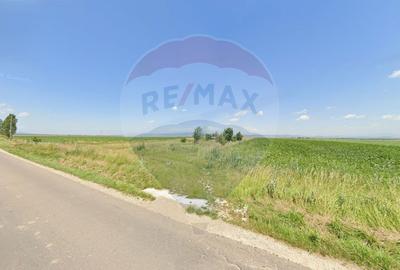 Teren extravilan arabil de vânzare – Satul Nou, comuna Hălchiu - 2