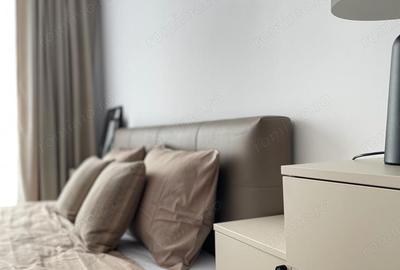 Apartament cu 2 camere semidecomandat în Take Ionescu