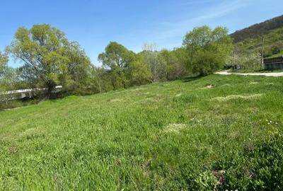 Teren de 500 mp, în Leamna de Sus - 6