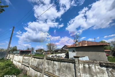Teren de 975 mp, în Cernica - 4