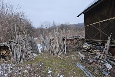 Casă cu 4 camere în Bumbești-Pițic - 2