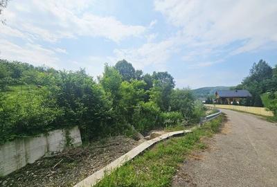 Teren intravilan lângă pădure – 1659 mp,  C.U. P+2E, Vărbilău - 7