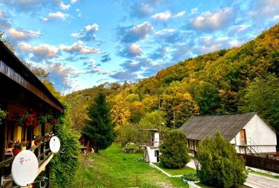 Teren pentru investitii 11.000 mp - 21