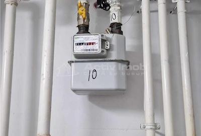 Casă cu 12 camere cu Teren 1000 Mp în Români - 12