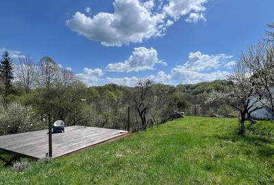 Casă individuală cu 10 camere cu Canalizare în Arefu - 6