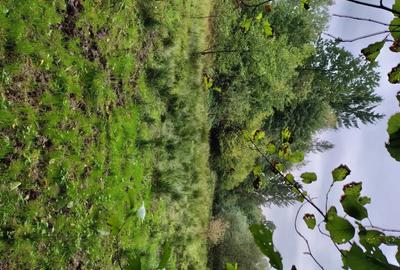 Casă cu Teren 20000 Mp în Vârfurile - 2