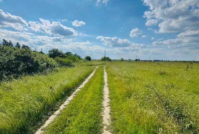 Teren de 551 mp, în Rudicica