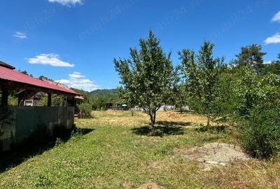 Casa de vanzare Maneciu Pamanteni PH Casa de vanzare Maneciu Pamanteni PH - 3