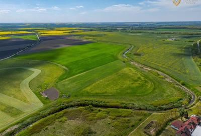 Teren agricol extravilan de 18000 mp, în Turnu - 9