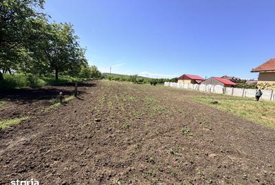Casă cu 6 camere cu Teren 3000 Mp în Cârcea - 8